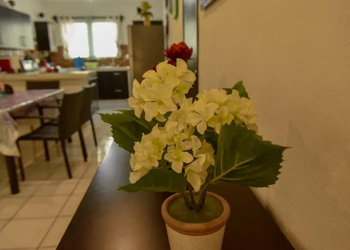 Casa Marisol Cozumel